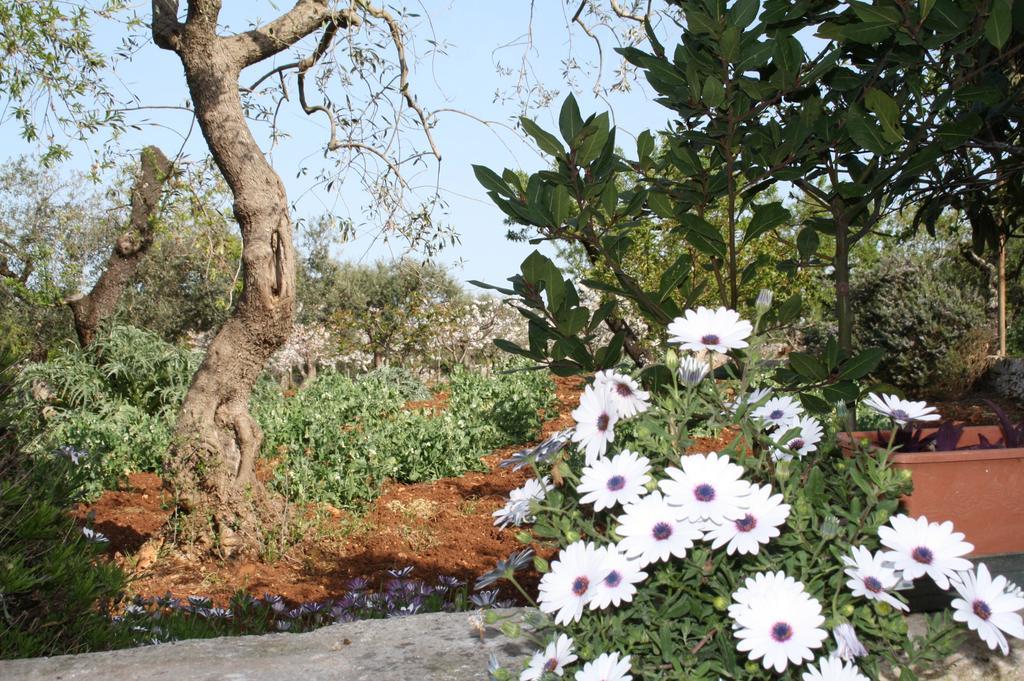 Hostal Il Trullo Di Nonna Lella Castellana Grotte Exterior foto